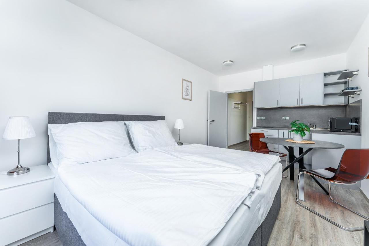 Apartman V Podebradech Poděbrady Exterior foto